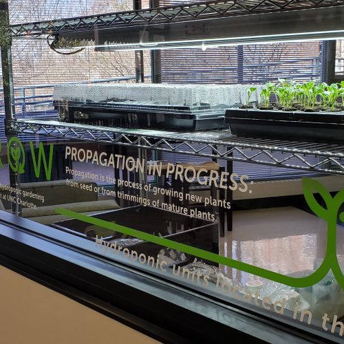 Window displaying words "propagation in progress" in front of seedlings in dirt